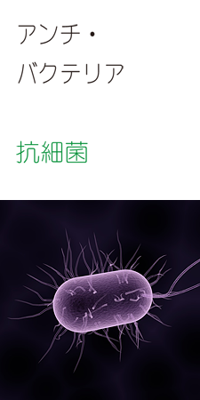 アンチ・バクテリア 抗細菌