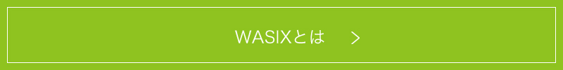 WASIXとは